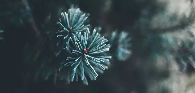 ps照片边框素材资料下载-送你20个高质量免费照片网站！