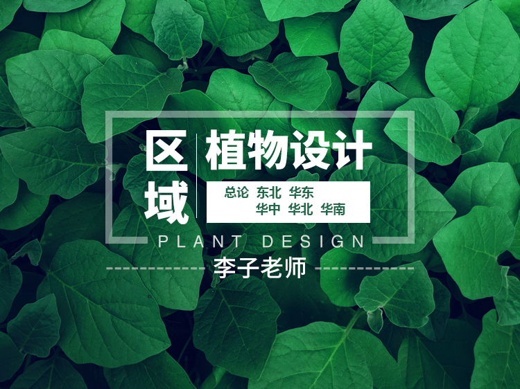 广场植物种植设计资料下载-区域植物设计