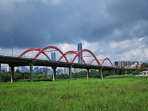 高架桥绿化施工工法资料下载-高架桥工程施工总结