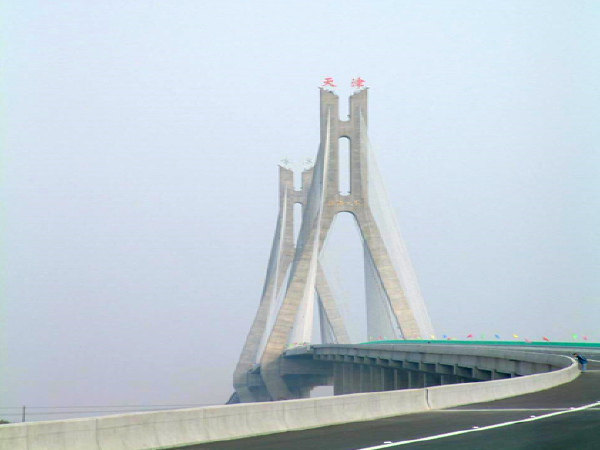 钢筋混凝土漫水桥资料下载-大型斜拉桥桥塔钢筋混凝土保护