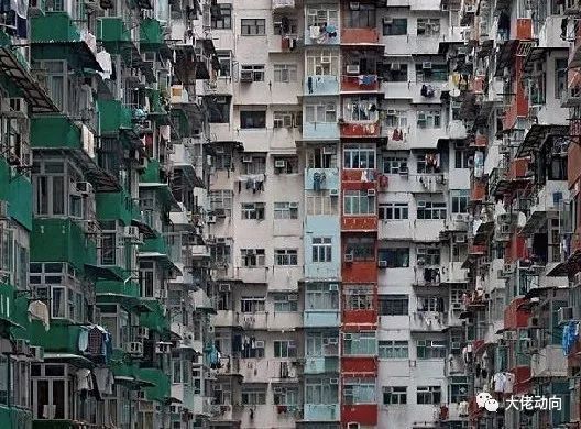 写字楼楼顶资料下载-没见过香港的“棺材房”， 你都不知道你住得多幸福