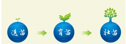 团队建设人才培养资料下载-青苗计划：企业大学助力陕十一建人才培养