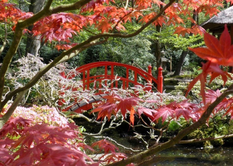 深度解析日本古典园林(设计图+实景)_7