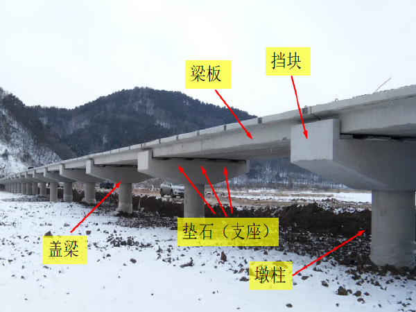 道路基础ppt资料下载-桥梁基础知识PPT课件（以秀湖人行桥和中德大街细河桥为例）