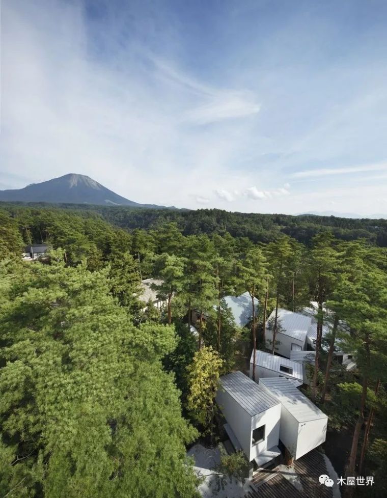 树林里的小旅馆，日本大仙住宅_2