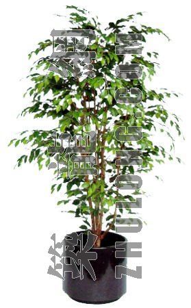PSD室内盆栽资料下载-室内植物 23a