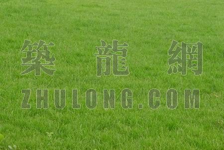 草地在景区中的作用资料下载-草地 004