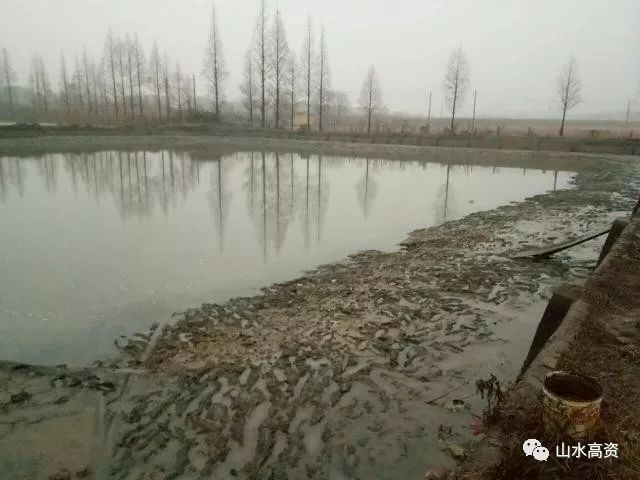 消除区域黑臭水体——河塘河道清淤工程_12