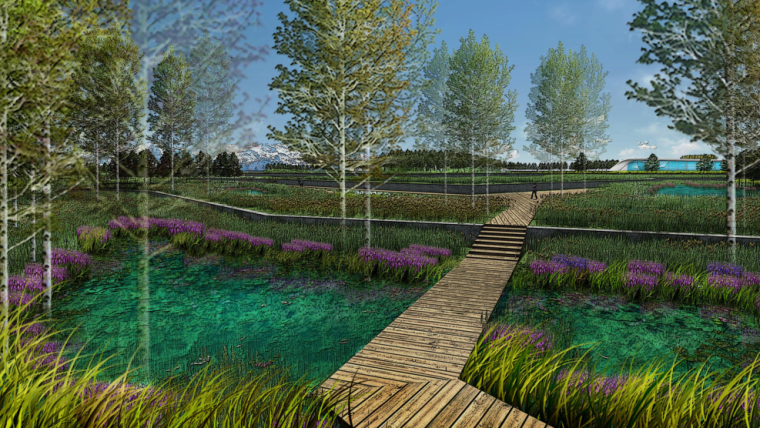 [吉林]长白山池北国家湿地公园景观设计（火山湿地，熔岩台地）-A10湿地科普区效果图