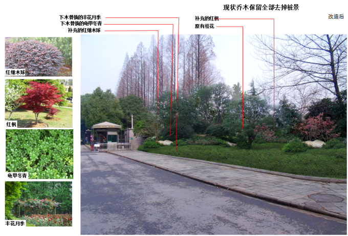 [湖北]自然式生态山林休闲道路绿化景观改造设计方案（2017最新）-入口迎宾区景观改造效果图