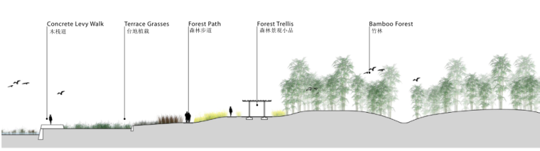 [湖南] 长沙坪塘巴溪洲景观概念性规划设计（PDF+109页）-剖面图