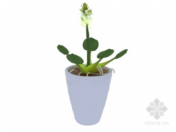 景观植物su3D模型资料下载-精美植物3D模型下载