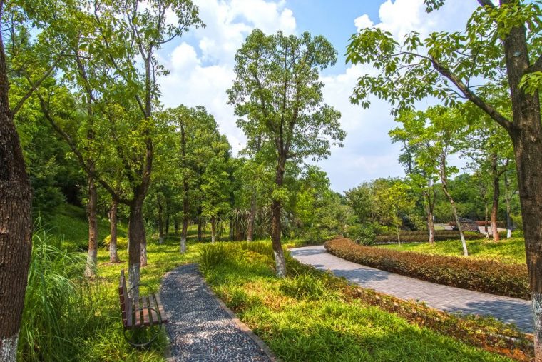 杭州植物园植物配置图资料下载-园林植物配置三大原则园林植物配置平面图与实景