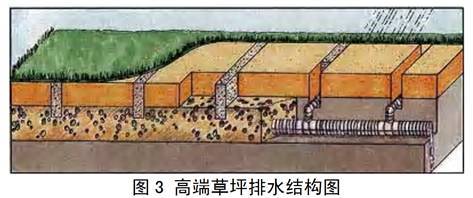 观赏草坪怎么建植，方法在这拿走不谢！_6