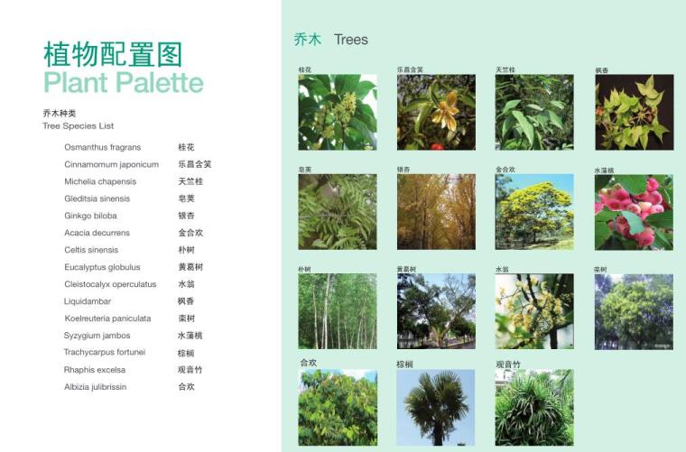 [江苏]江阴蓝天豪庭景观概念设计文本（PDF+41页）-植物配置图