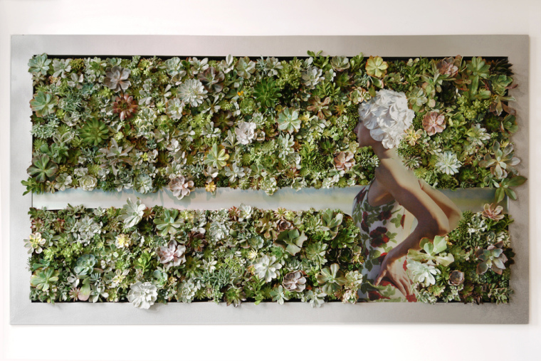 景观草皮资料下载-Public Art丨多肉草皮苔藓的视觉盛宴