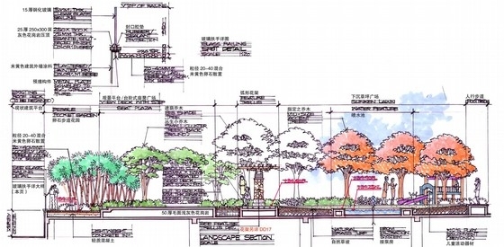 公寓景观扩初设计（屋顶花园部分）-景观剖面图 