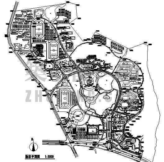天津大学校园总平面图资料下载-某学院新校区规划总平面图