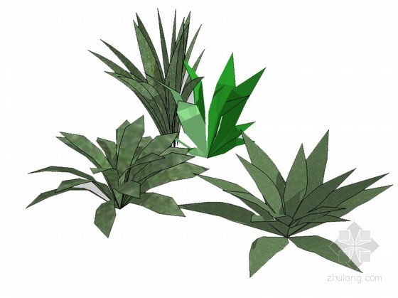 sketchup植物模型资料下载-植物草丛sketchup模型