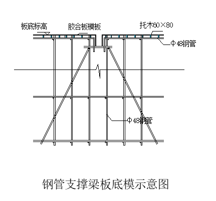 公寓塔楼标准层尺寸资料下载-模板工程专项施工方案（高层塔楼）