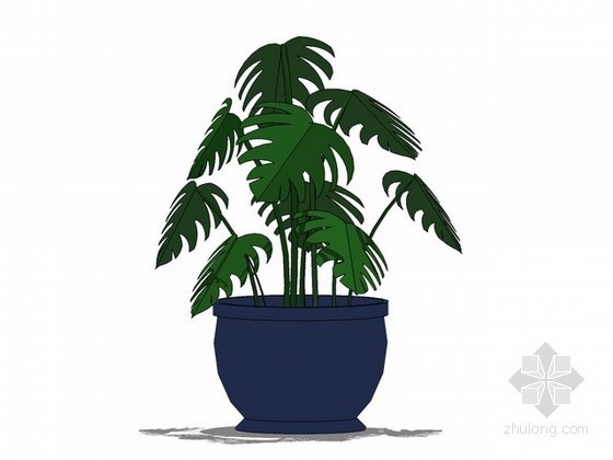 su模型植物资料下载-植物sketchup模型下载