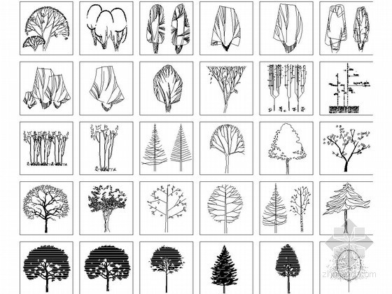 cad景观室外图块资料下载-植物立面图块