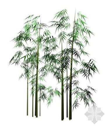 竹子植物SU模型资料下载-竹子4