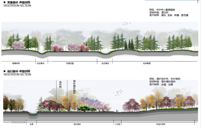 [山东]​湿地森林公园修建性详细规划方案（独家发布）-植被规划
