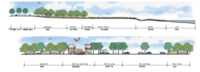 [江苏]滨水景观长廊绿色新城生态城市规划设计方案-景观剖面图