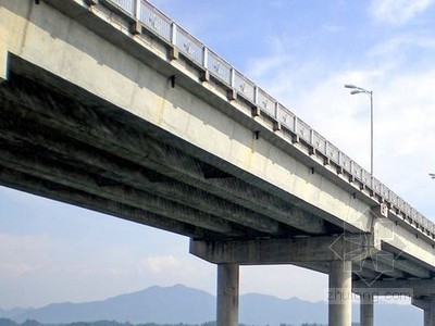 广东省桥梁桩基检测规范资料下载-[广东]桥梁工程桥台基础及下部结构施工方案