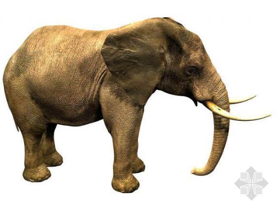 动物CAD模型资料下载-大象模型