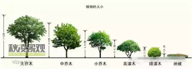 小区中心园林效果图资料下载-你以为p个效果图很简单，这些问题困扰了多少人