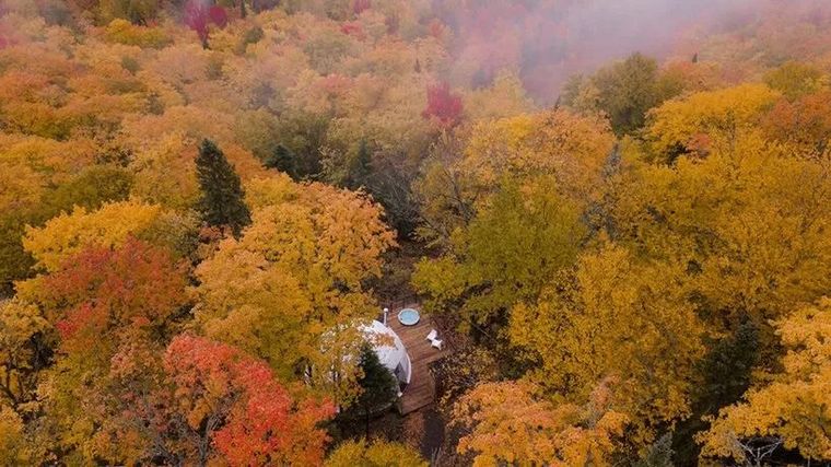 奥里藏特森林住宅资料下载-加拿大，魁北克，森林住宅，bourgeois / lechasseur建筑事务所