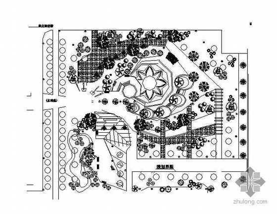 广场植物配置su资料下载-某小区广场植物配置