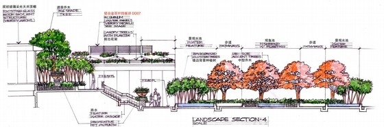 公寓景观扩初设计（屋顶花园部分）-景观剖面图 