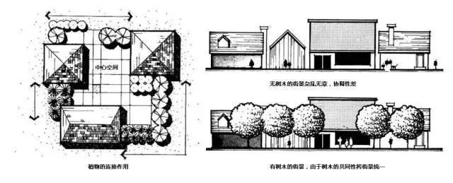 “植物造景”，可不是种树种花这么简单！_14