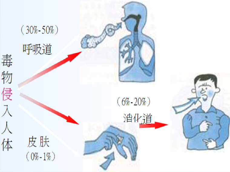 职业健康卫生资料下载-职业健康安全培训讲义(图文丰富)