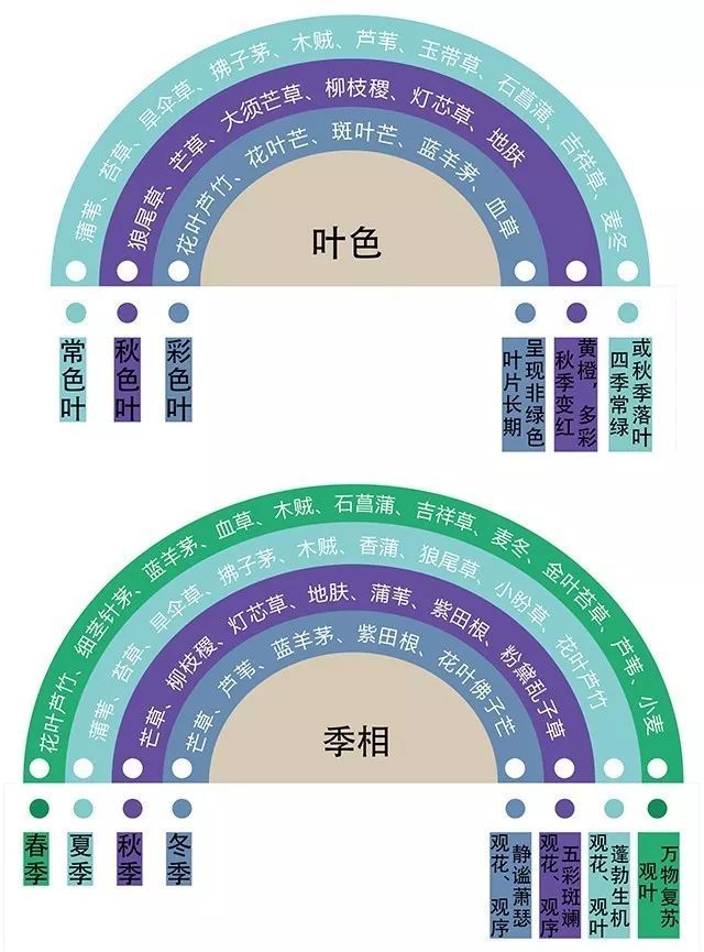 观赏草的风骚，你的明白？_10