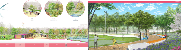 [四川]城市绿洲滨水生态中央公园景观设计方案-林下运动公园景观分析图