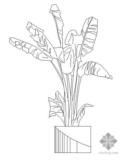 盆栽植物室内资料下载-盆栽植物图块11
