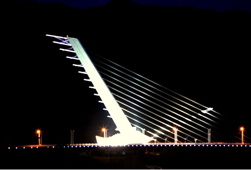 钢梁转体施工资料下载-白鹭大桥钢塔竖向转体施工技术（无背索竖琴式斜拉桥）