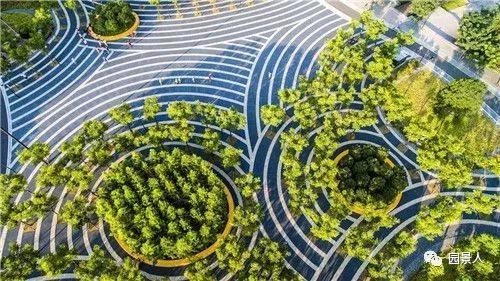 平面构成线构成资料下载-景观构成中的点、线、面，你GET到了吗?