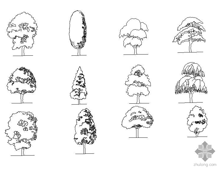 园林植物图例大全手绘图片