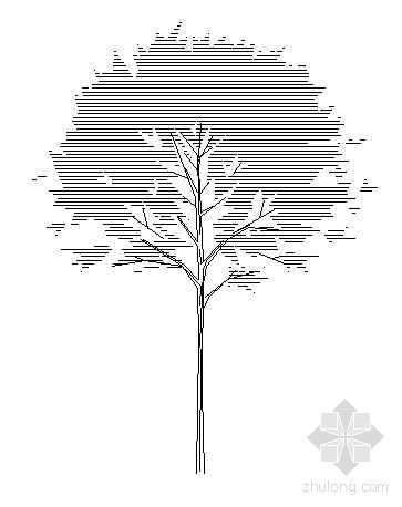 别墅立面cad文件资料下载-CAD植物立面图例