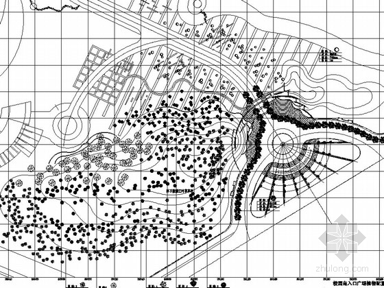 校园公共绿地植物种植绿化工程施工图- 