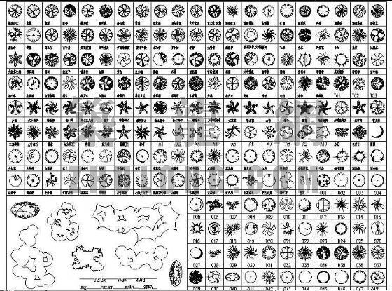cad植物图例资料下载-经典植物图例200例
