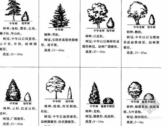 风景园林图例图示标准图片
