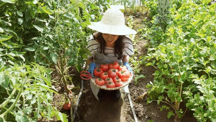 北京姑娘开超美胡同民宿，120㎡两间房，客人一住就是半个月_6