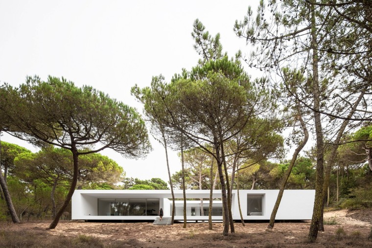 葡萄牙白色的住宅资料下载-悬浮于松林沙地中的白色住宅