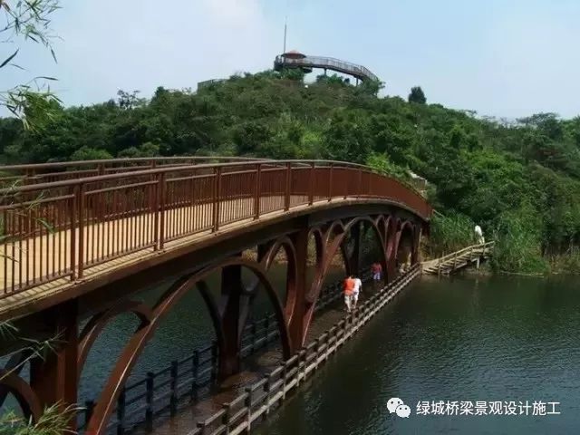深圳C位出道，世界一线城市！竟有如此多浪漫别致的景观桥！_3